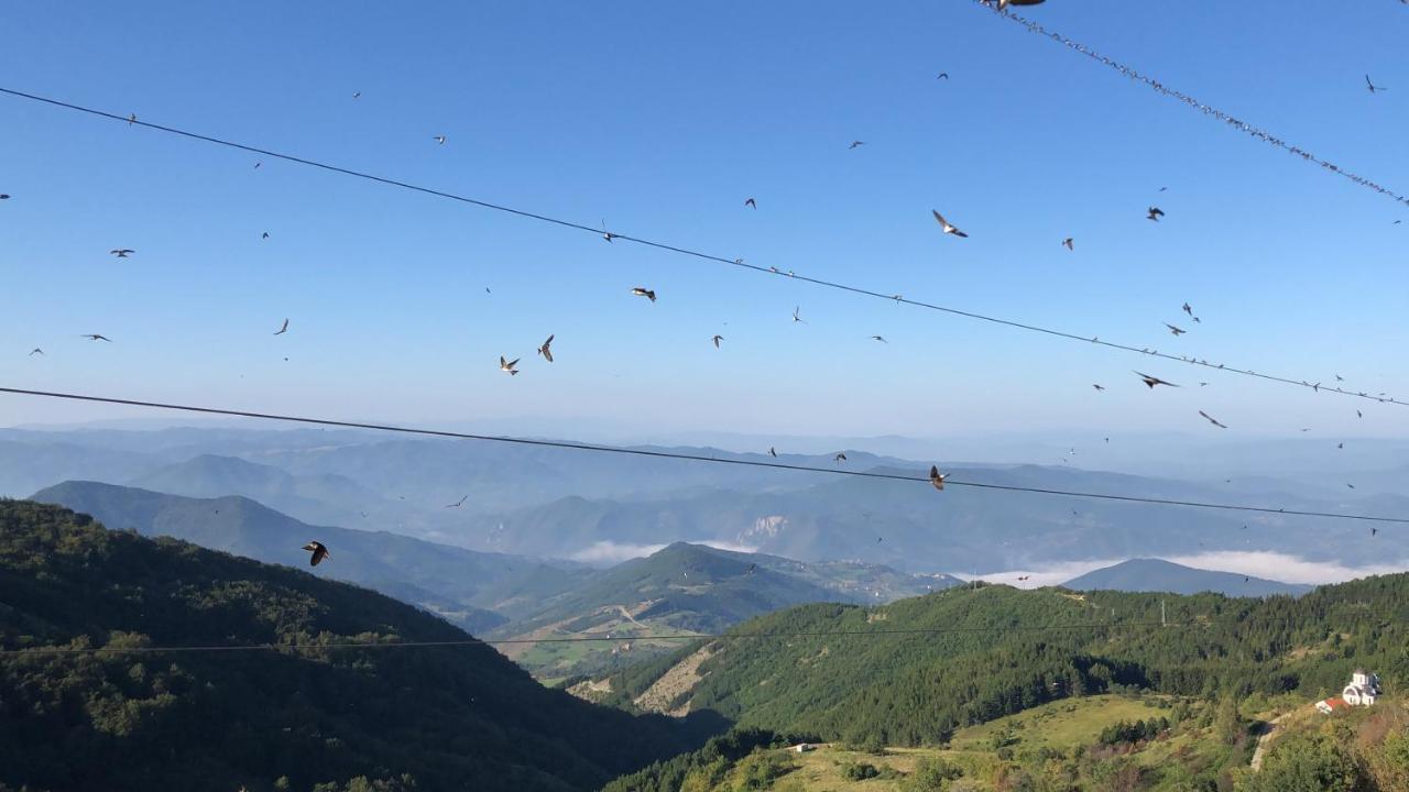 Apartament Milmari M12 Kopaonik Zewnętrze zdjęcie